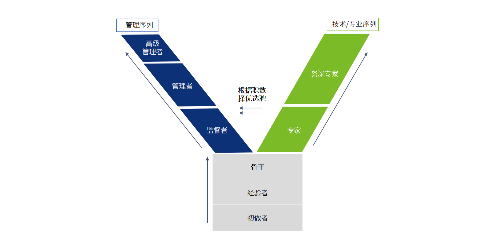 清晰明朗的晋升通道